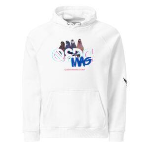 QSDC Unisex eco raglan hoodie